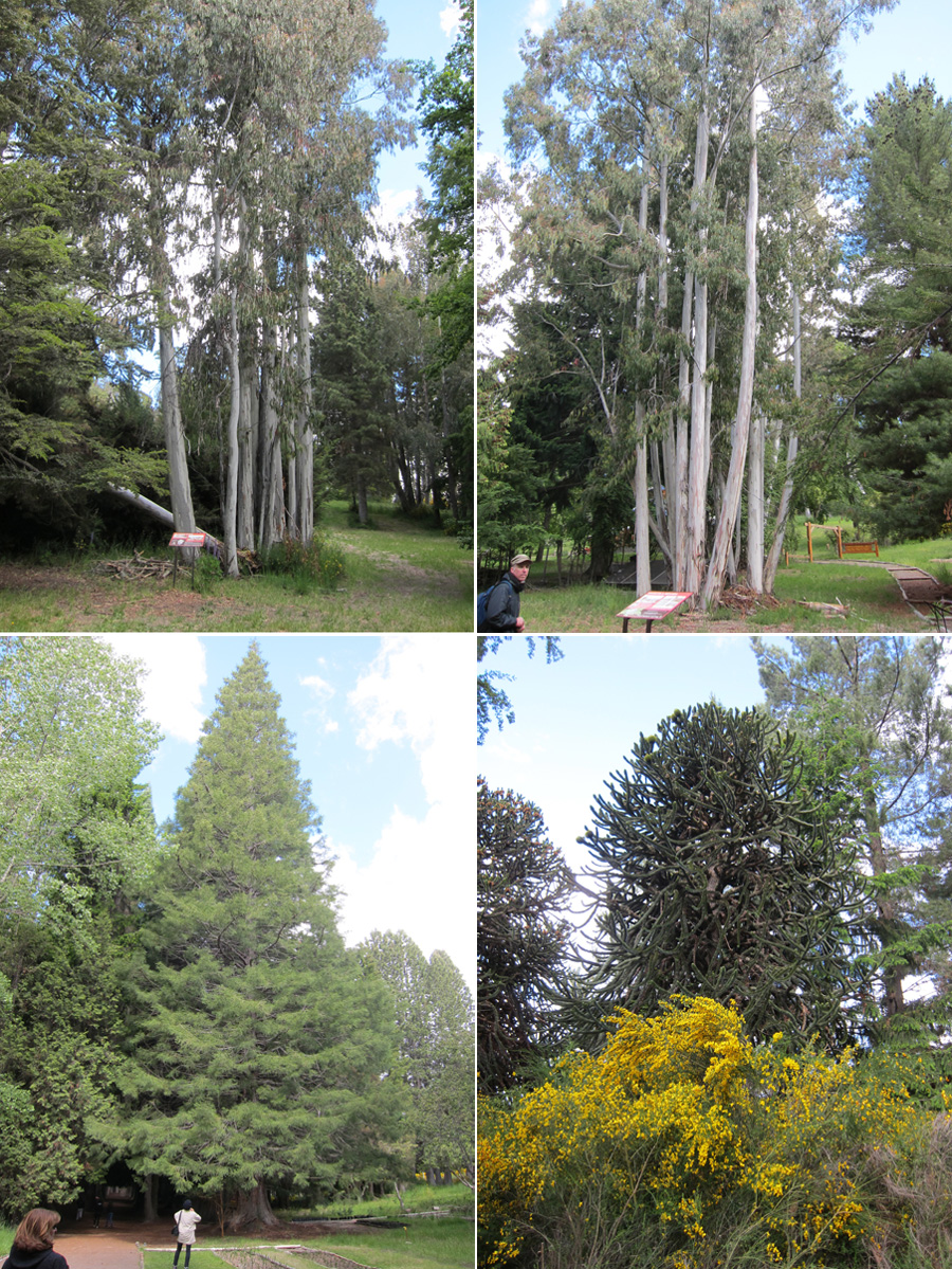 Bariloche-2012-chptr05-05