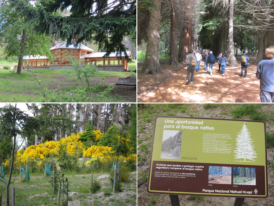 Bariloche-2012-chptr05-06