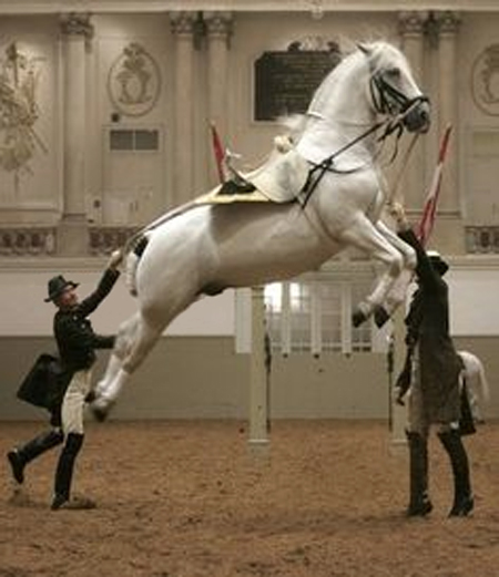 Amsterdam-Budapest-2013-chptr13-12