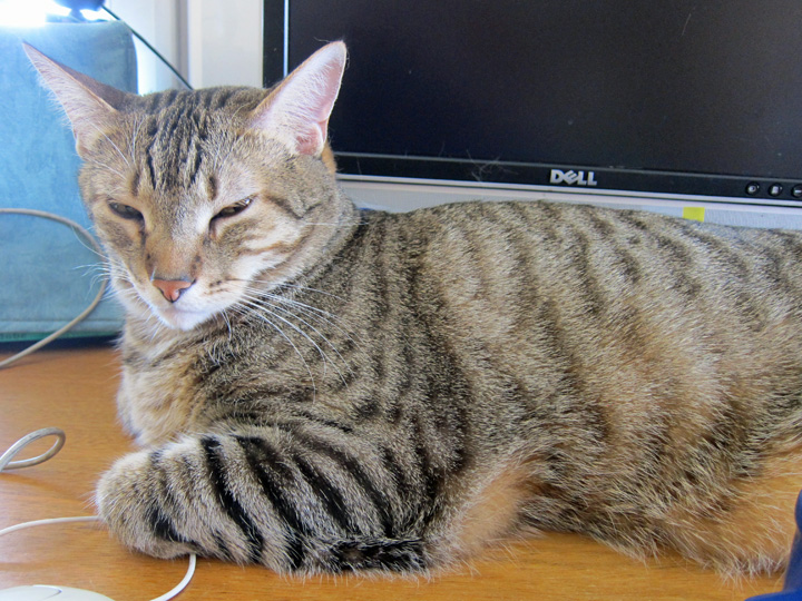 NewYearsEve-2013-2014- (60)1