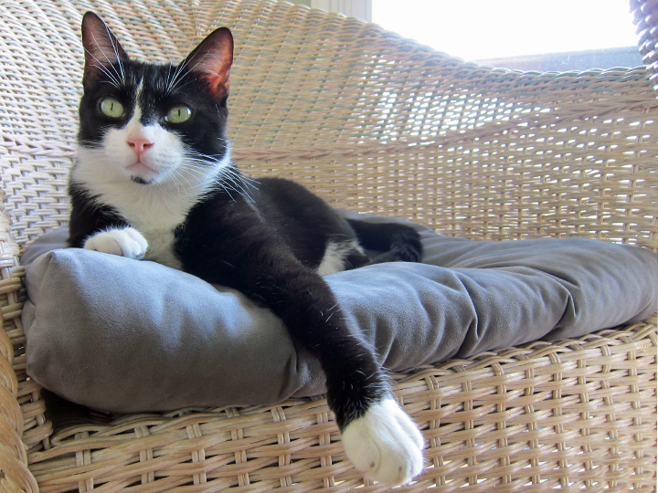 NewYearsEve-2013-2014- (63)