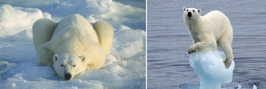 Norway-2014-chptr05-16