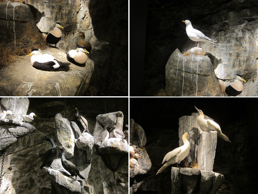 Norway-2014-chptr06-10