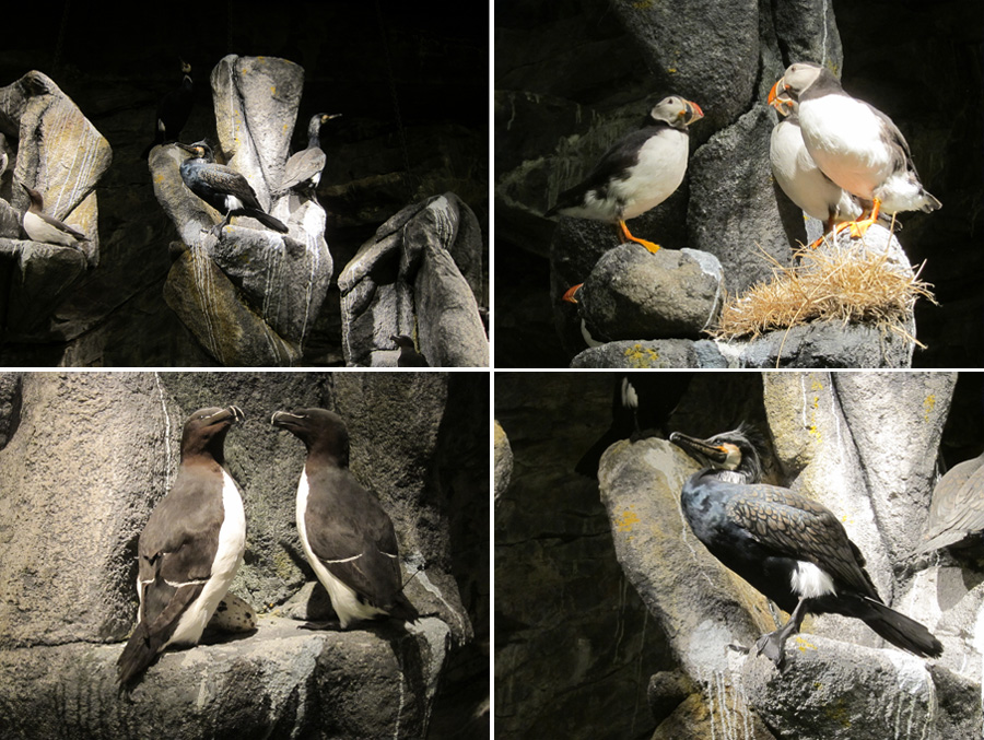 Norway-2014-chptr06-11