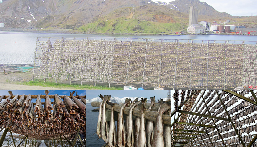 Norway-2014-chptr06-16