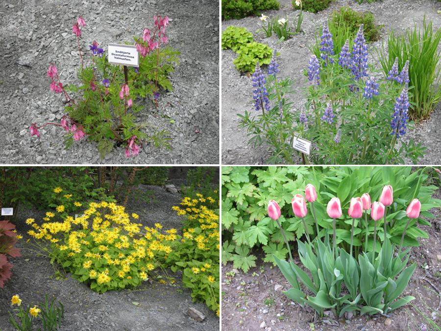 Norway-2014-chptr07-10