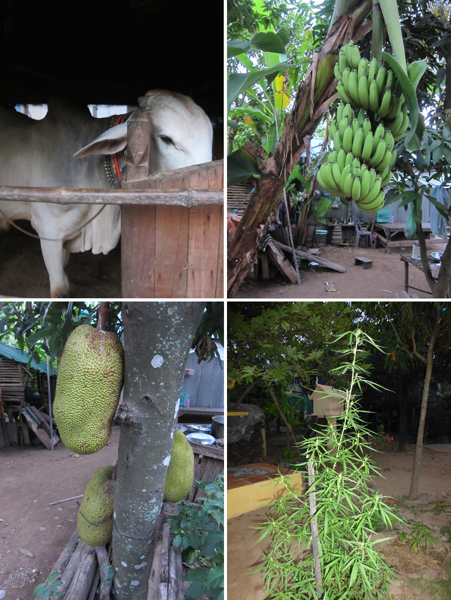 Mekong-2014-chptr09-11