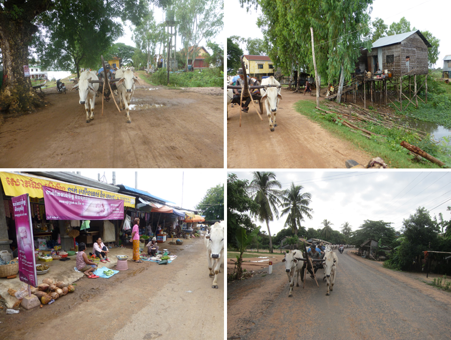 Mekong-2014-chptr10-04