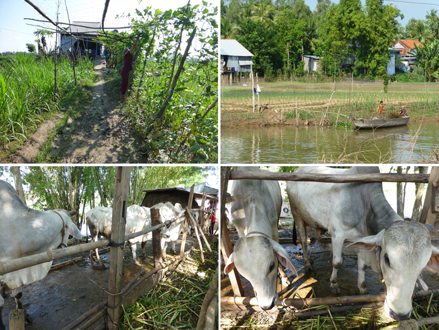 Mekong-2014-chptr13-10