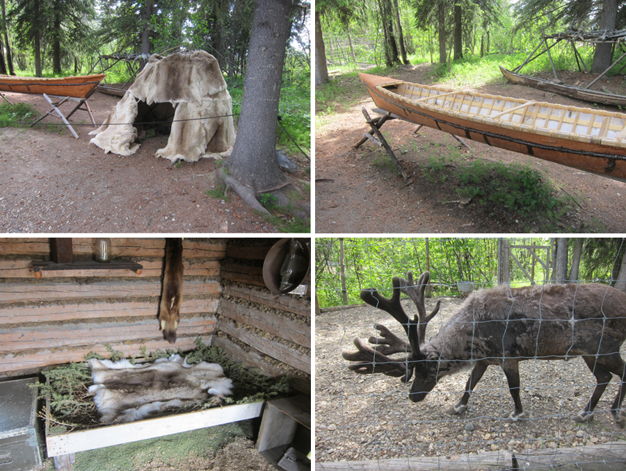 Alaska-2015-chptr01-11