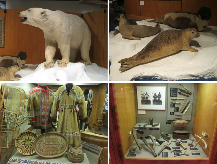 Alaska-2015-chptr03-14