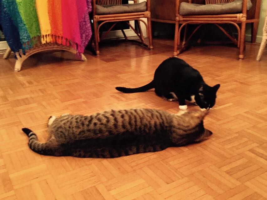 Alberto-RonsBDay (3)