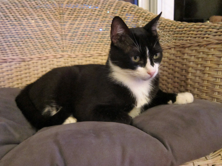 NewYearsEve-2015- (8)