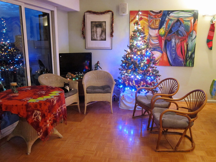 NewYearsEve-2015- (9)