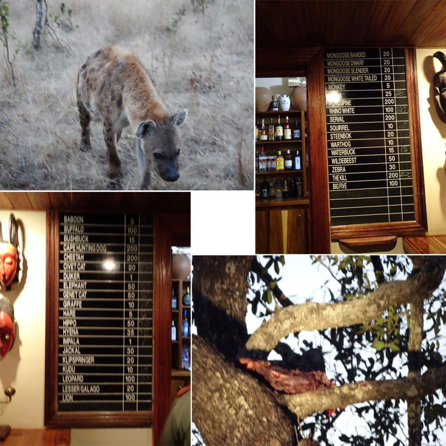 SouthAfrica-Jun-2017-chptr02-13