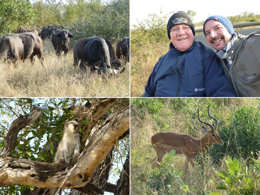 SouthAfrica-Jun-2017-chptr03-03