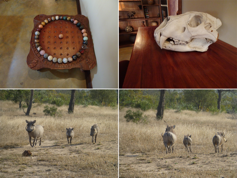 SouthAfrica-Jun-2017-chptr03-05