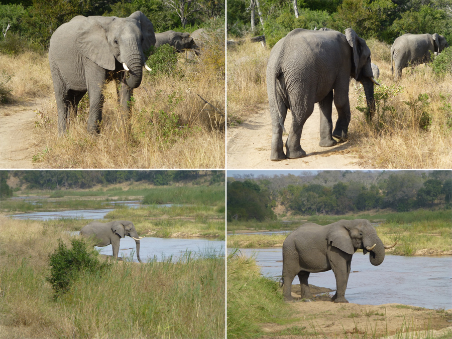 SouthAfrica-Jun-2017-chptr03-07