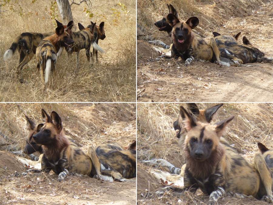 SouthAfrica-Jun-2017-chptr03-10