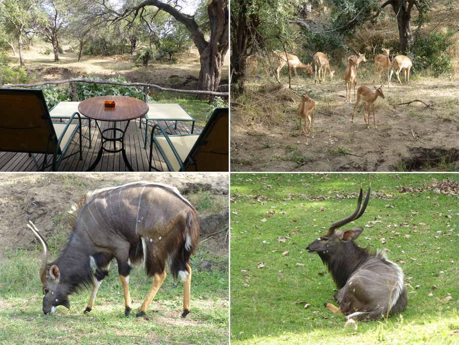 SouthAfrica-Jun-2017-chptr03-13