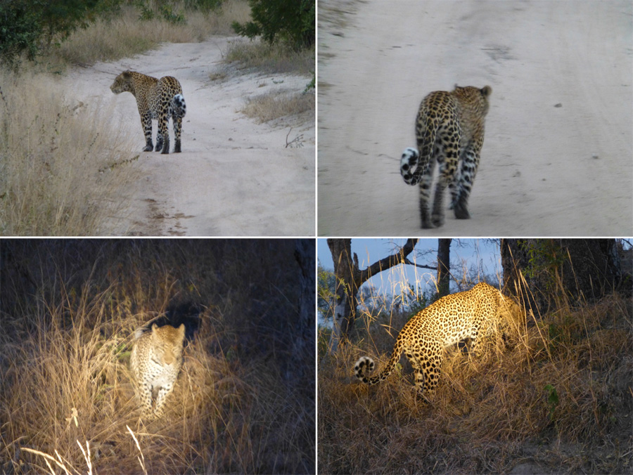 SouthAfrica-Jun-2017-chptr04-04