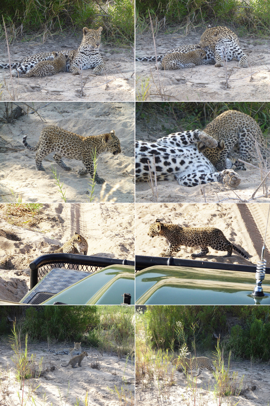 SouthAfrica-Jun-2017-chptr04-07