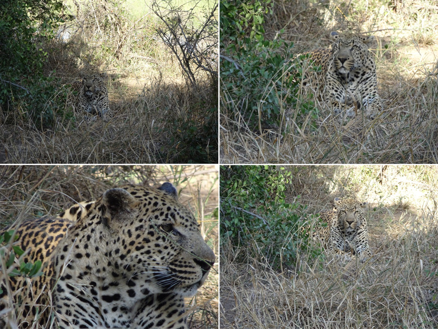 SouthAfrica-Jun-2017-chptr04-10