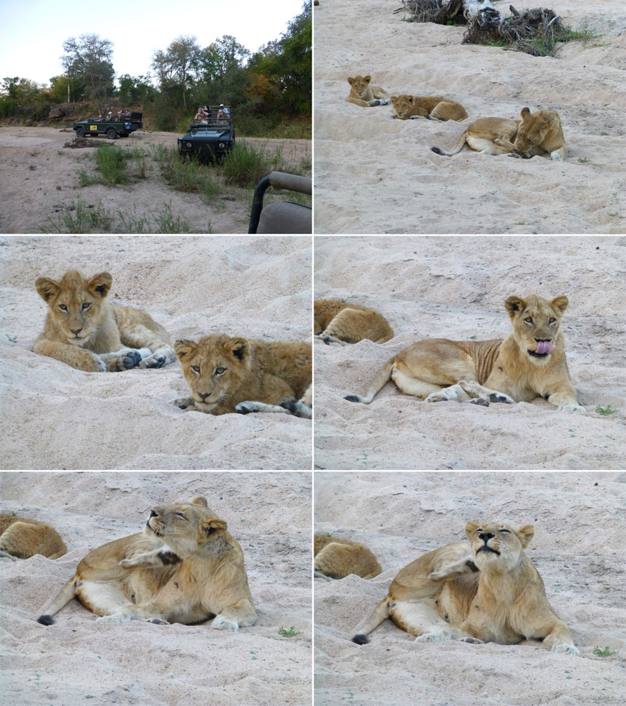 SouthAfrica-Jun-2017-chptr04-12