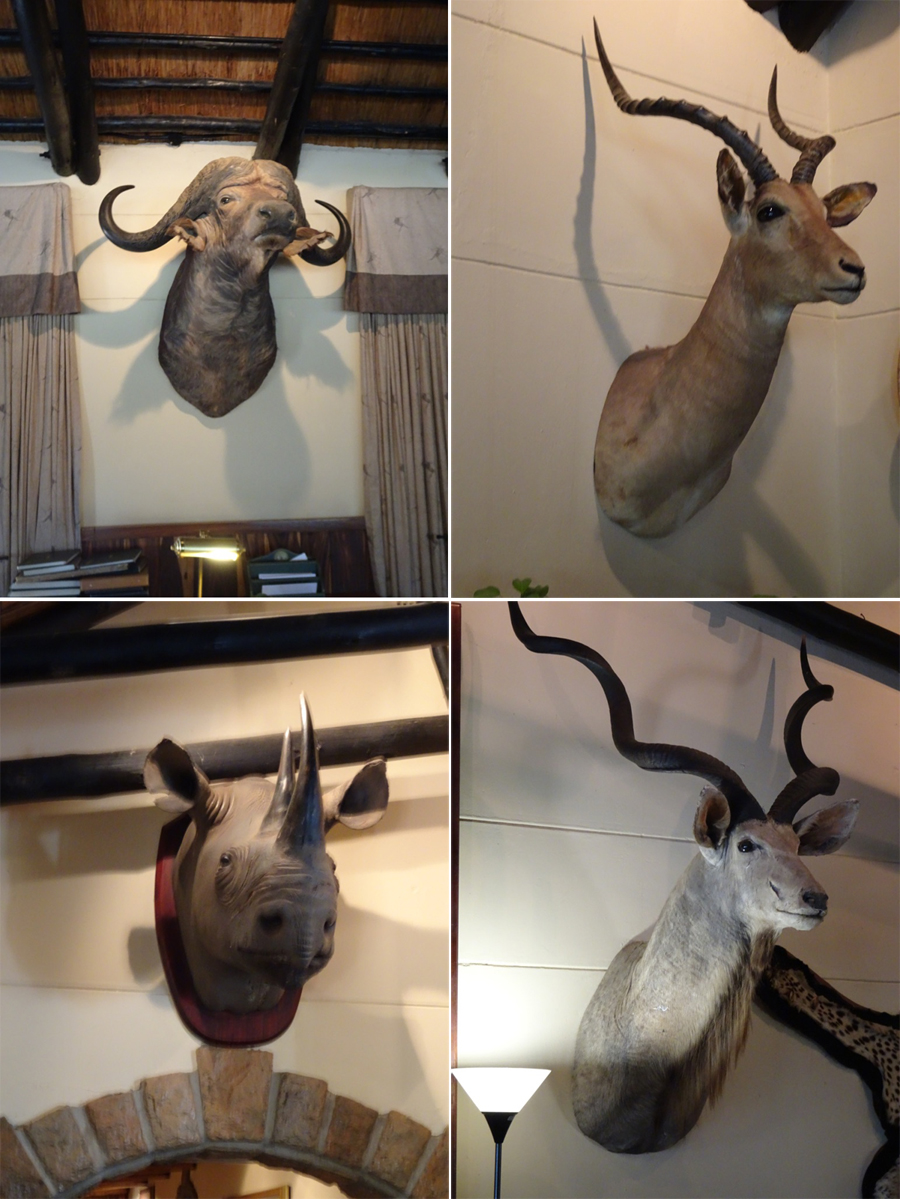 SouthAfrica-Jun-2017-chptr04-19