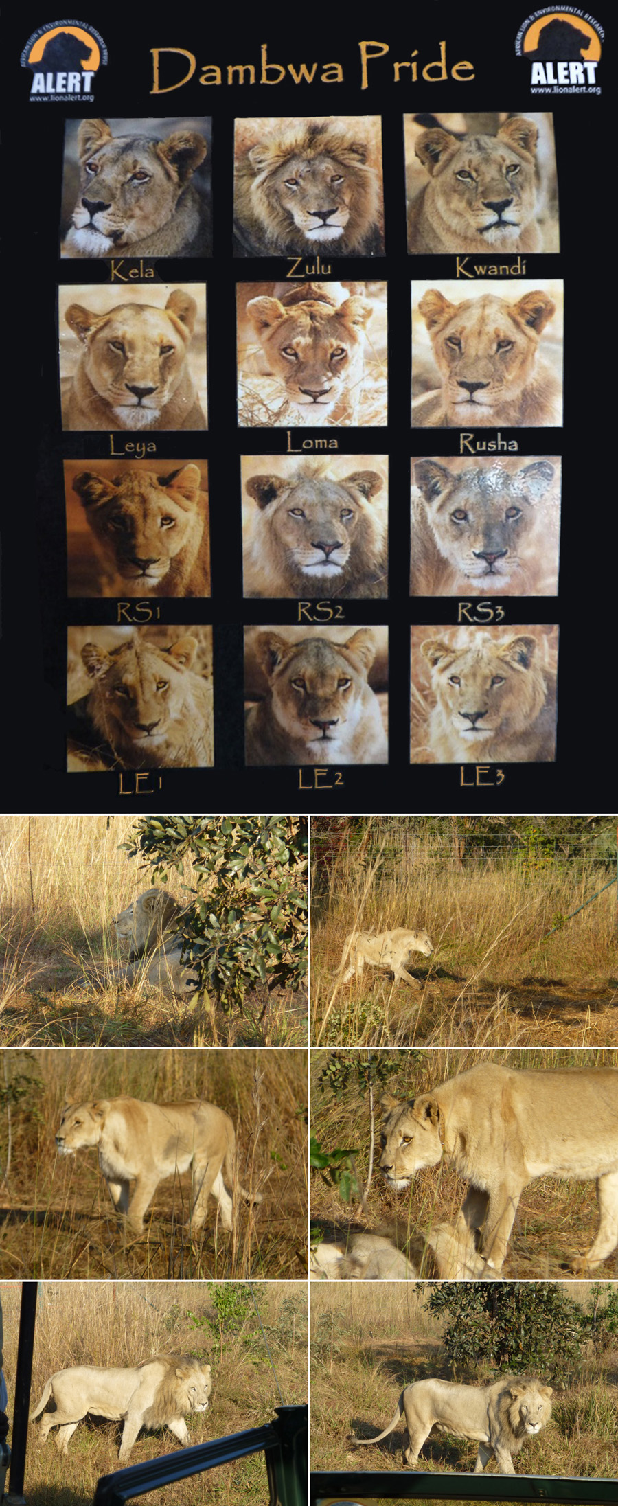 SouthAfrica-Jun-2017-chptr05-13