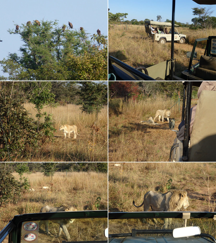 SouthAfrica-Jun-2017-chptr05-15