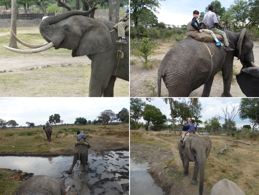 SouthAfrica-Jun-2017-chptr06-14