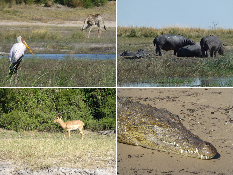 SouthAfrica-Jun-2017-chptr07-08