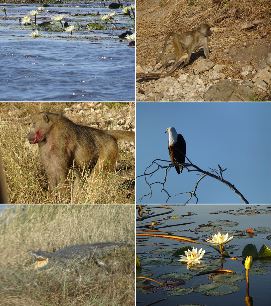 SouthAfrica-Jun-2017-chptr07-16