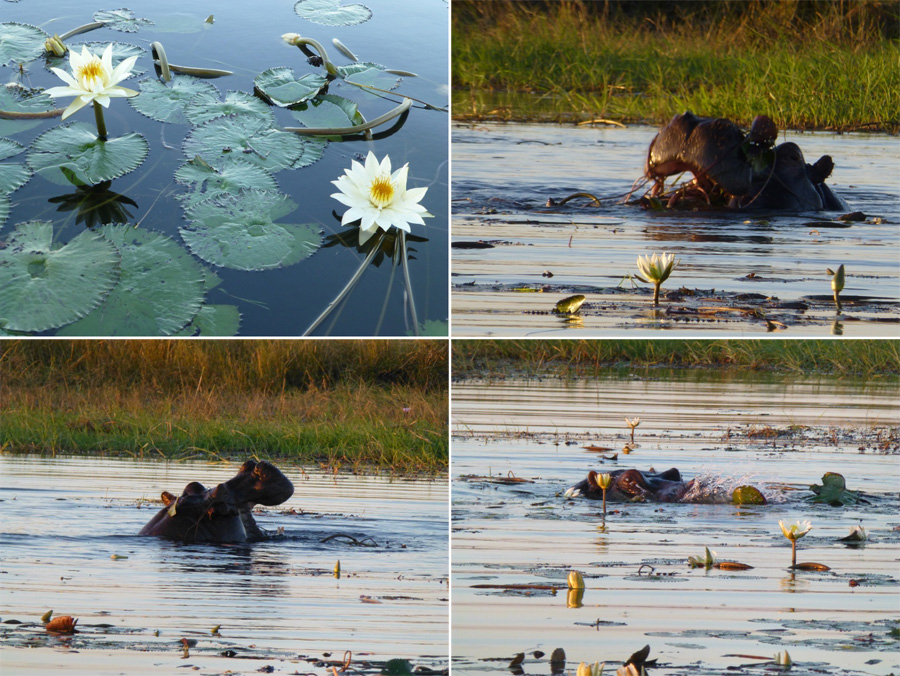 SouthAfrica-Jun-2017-chptr07-17