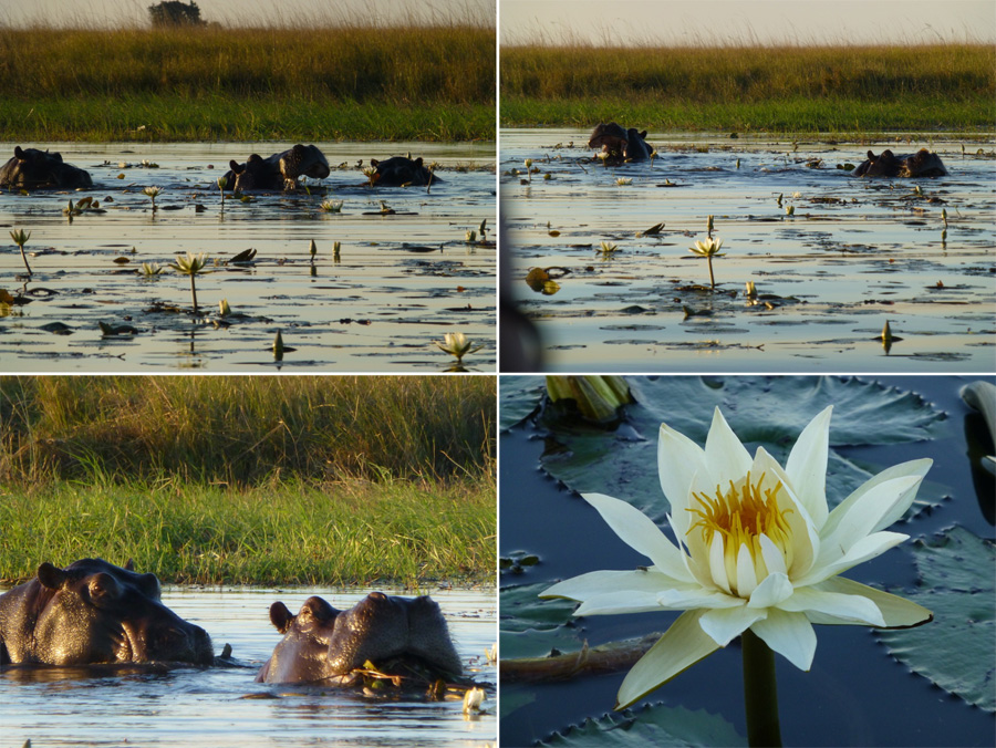 SouthAfrica-Jun-2017-chptr07-18