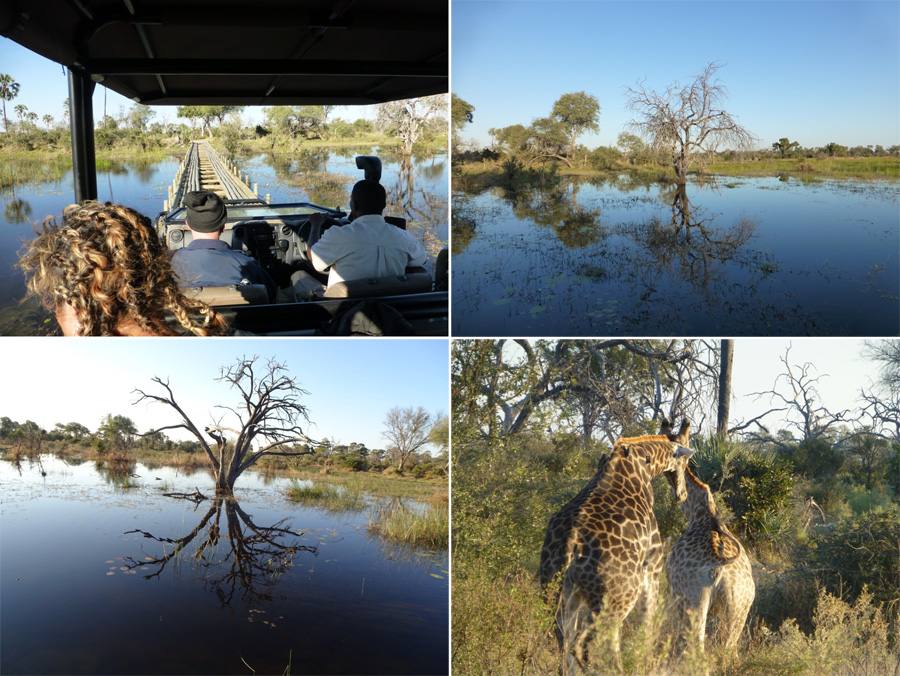 SouthAfrica-Jun-2017-chptr08-07