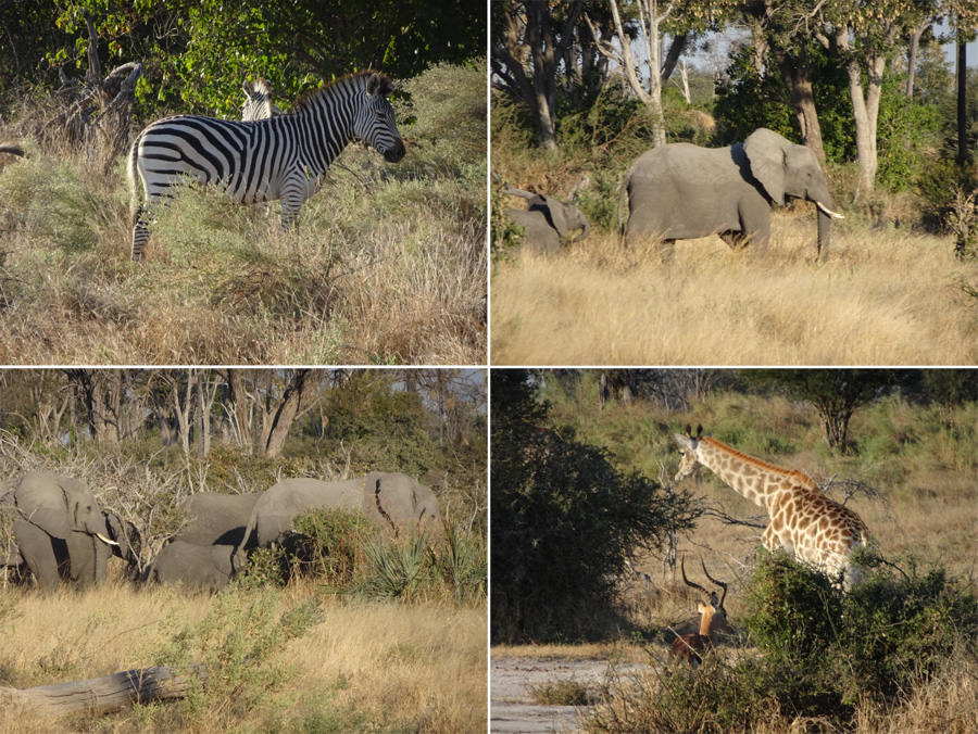 SouthAfrica-Jun-2017-chptr08-13