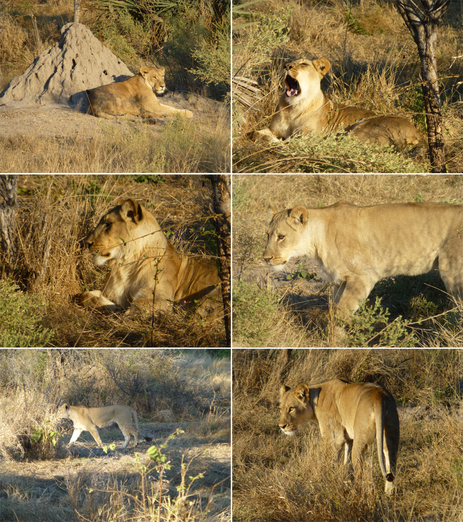 SouthAfrica-Jun-2017-chptr08-14