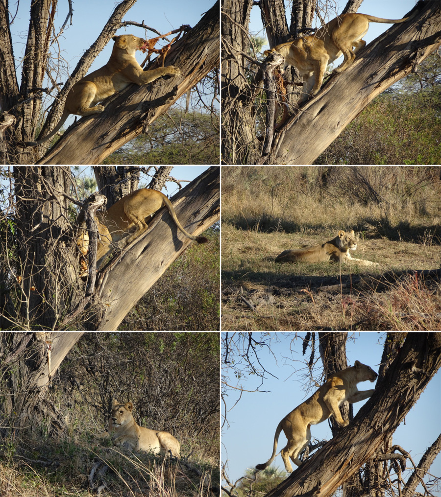 SouthAfrica-Jun-2017-chptr08-16