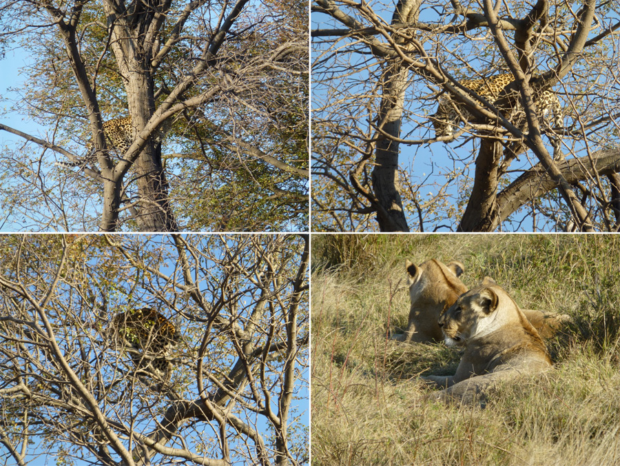 SouthAfrica-Jun-2017-chptr08-18