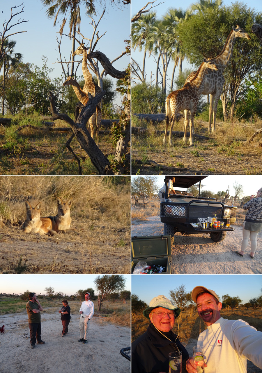 SouthAfrica-Jun-2017-chptr08-19