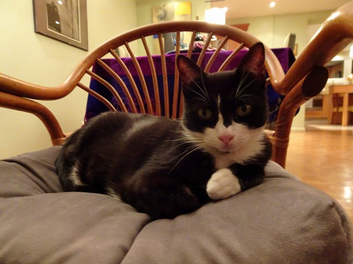 Ron-Bday-Jul-2017-02