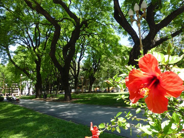 Nov-2017-7th-Anniversary-05