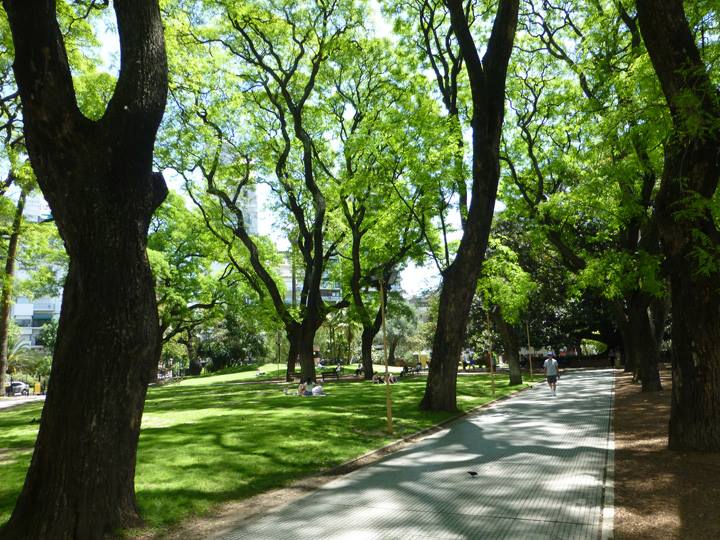 Nov-2017-7th-Anniversary-09