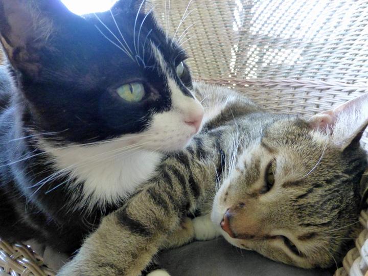 Nov-2017-7th-Anniversary-12