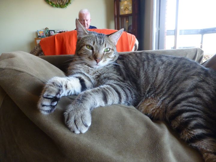 Jan-2018-CindyMartiniGlasses-5