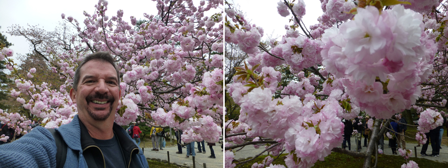 Japan-Apr-2018-chptr08-18