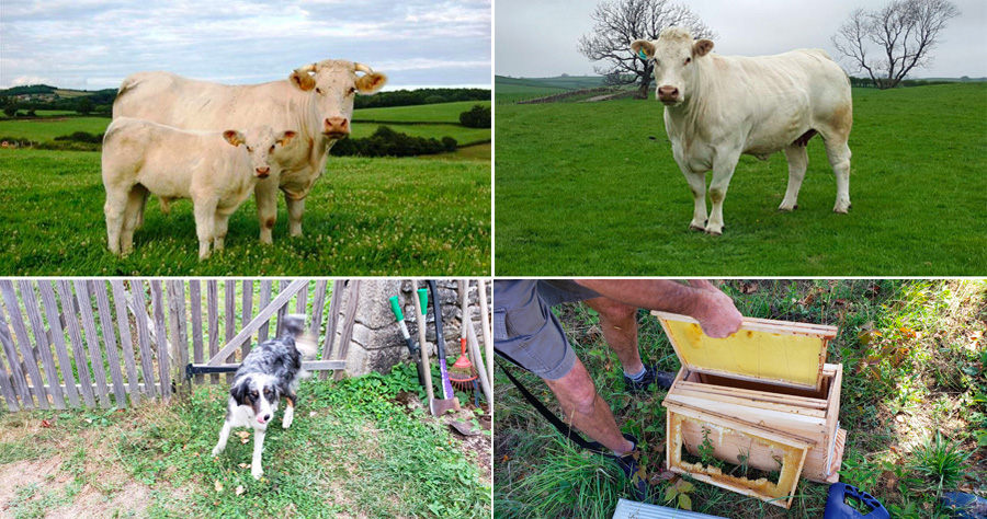 Japan-Apr-2018-chptr10-03