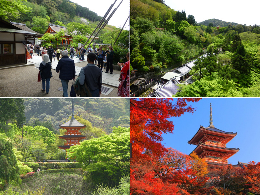 Japan-Apr-2018-chptr10-Real-07